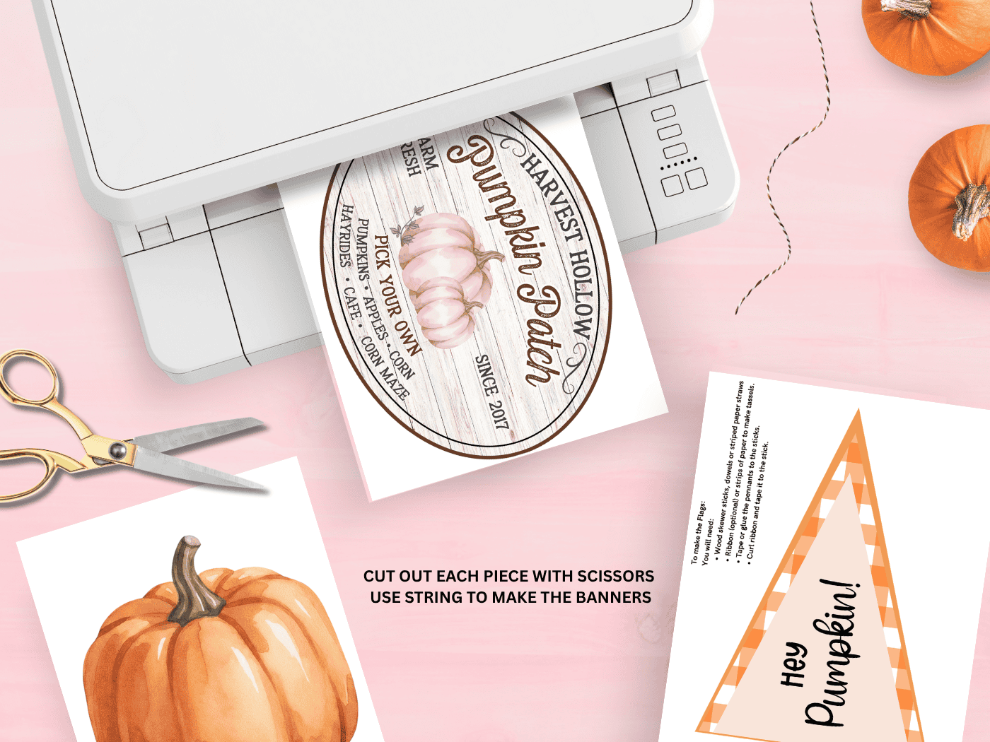 Pumpkin Patch Pretend Play Set - Image 2